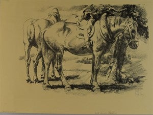 Image description is not available for DU1946.418